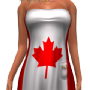 simply mesh canada